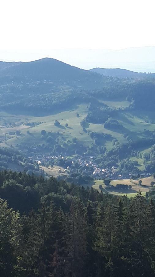 Les O Welches Cote Lac Orbey Eksteriør bilde