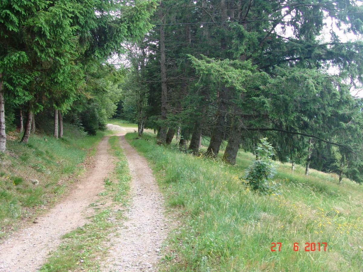 Les O Welches Cote Lac Orbey Eksteriør bilde
